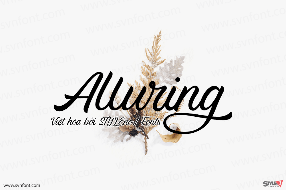 Font SVN Alluring Việt hóa