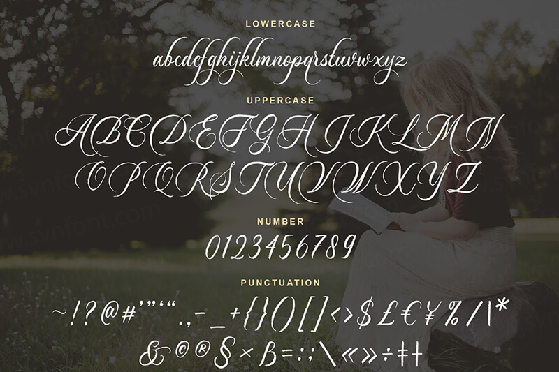 Font Dayland Font Việt hoá