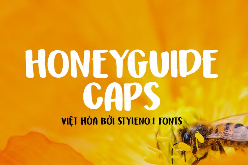 Font Honeyguide Caps Việt hoá