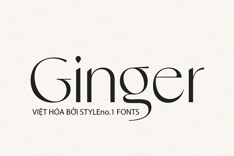 Font SVN Ginger Việt hoá