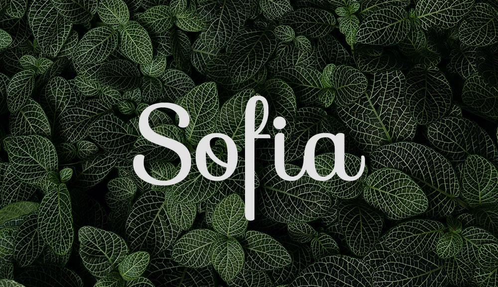 Font Sofia Việt hóa