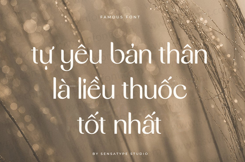 Font Famous Việt hoá