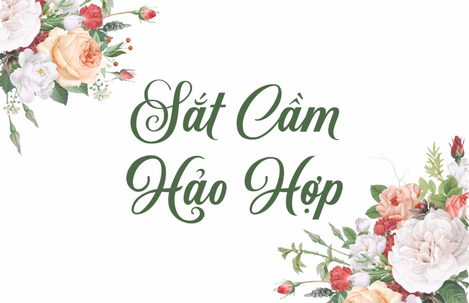 Font Việt hóa VN Sunshine Script